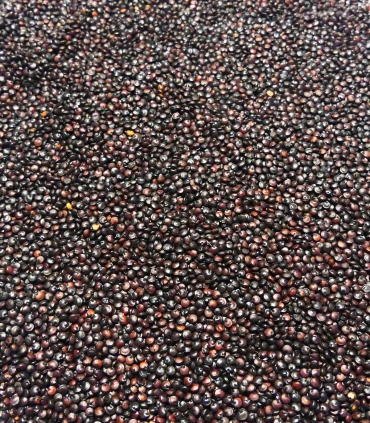 Quinoa noir matière brute - Sabarot