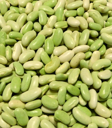 Flageolets verts de France matière brute - Sabarot