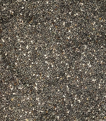 Graines de chia matière brute - Sabarot