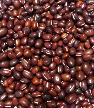 Haricots azuki matière brute - Sabarot