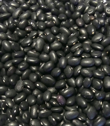 Haricots noirs matière première - Sabarot