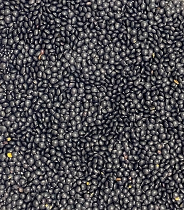 Lentilles beluga matière brute - Sabarot