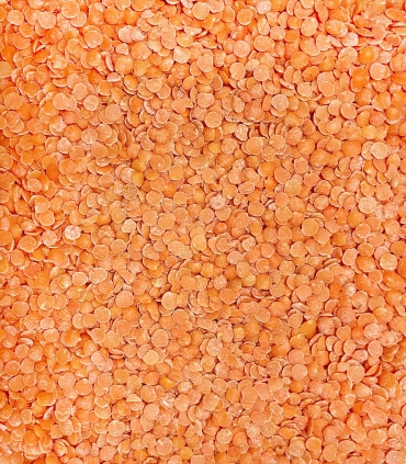 Lentilles corail matière première - Sabarot