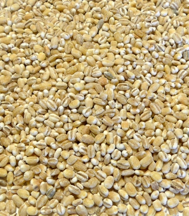 Orge perlé d'Auvergne matière brute - Sabarot