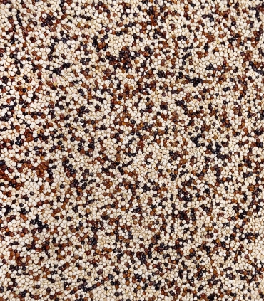 Trio de quinoa matière brute - Sabarot
