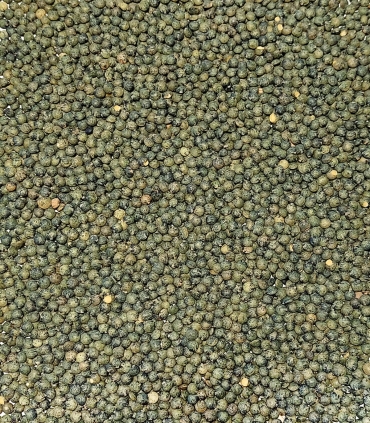 Lentilles vertes France matière brute - Sabarot