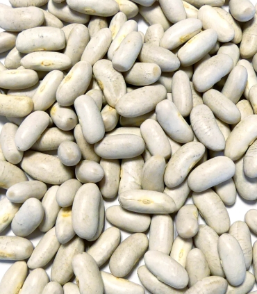 Haricots Tarbais matière brute - Sabarot