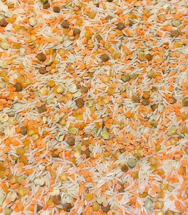 Mélange riz basmati et légumes secs matière brute - Sabarot