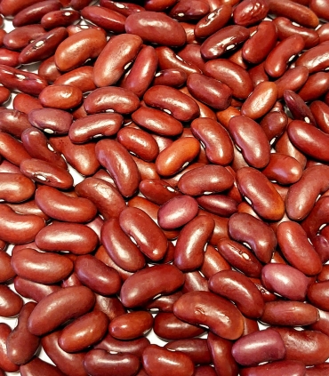 Haricots rouges matière première - Sabarot