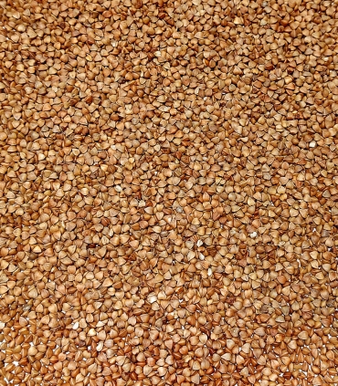 Kasha - Sarrasin grillé matière première - Sabarot