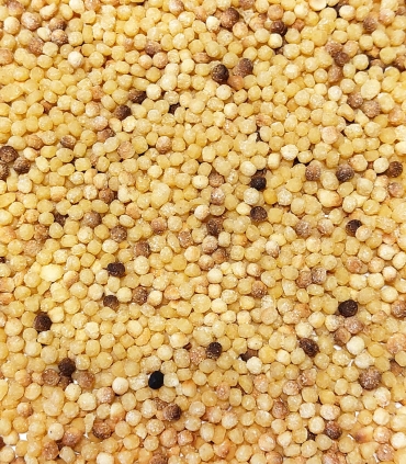 Fregola Sarda matière première - Sabarot