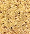 Fregola Sarda matière première - Sabarot