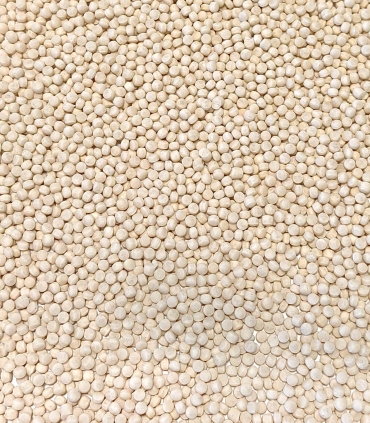Perles de couscous matière première - Sabarot