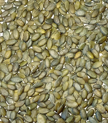 Graines de courge bio matière première - Sabarot