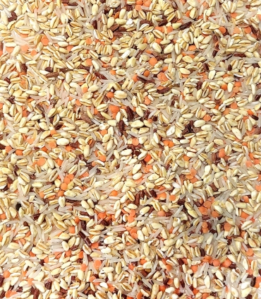 Mélange 5 graines matière brute - Sabarot