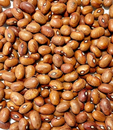 Haricots cocos roses matière brute - Sabarot