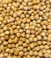 Pois chiches France matière brute - Sabarot