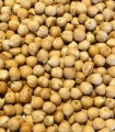 Gros pois chiches spécial couscous matière brute - Sabarot