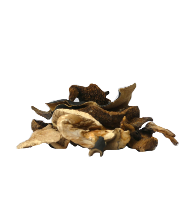 Matière brute - Mélange forestier 500g - Sabarot