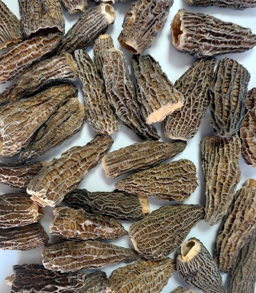 Matière Morilles spéciales séchées - Sabarot
