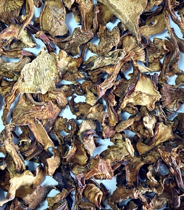 Matière première girolles séchées - sabarot