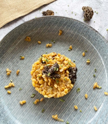 Recette à base de Morilles extra séchées - Sabarot