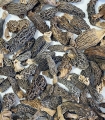 Matière première - Morilles extra - Sabarot