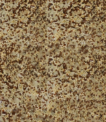 Matière première - Riz des deux mondes - Sabarot