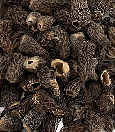 Matière première - Champignons - Morilles micro 30g - Sabarot