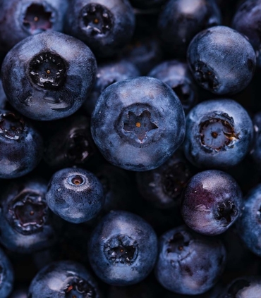 Matière première - Myrtilles - Sabarot