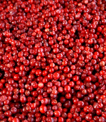 Fruits rouges - Airelles bocal 37cl - Sabarot