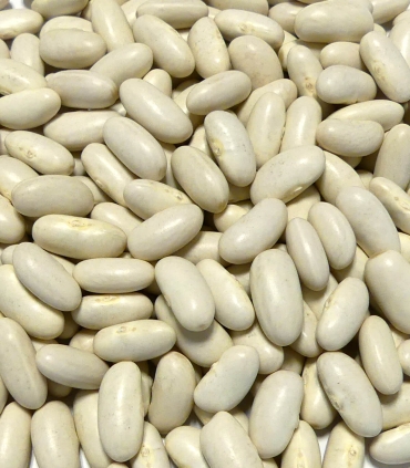 Haricots lingots blancs de France matière brute - Sabarot