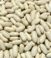 Haricots lingots blancs de France matière brute - Sabarot