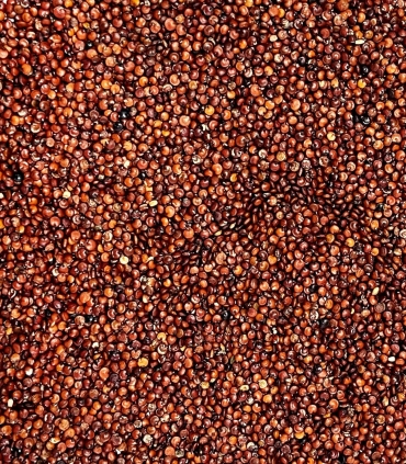 Organic raw red quinoa - Sabarot