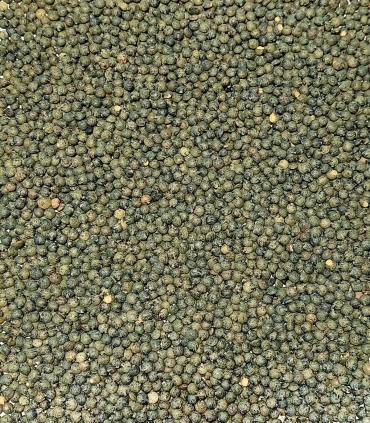 Dried pulses - Lentils - Green lentils from France - Sabarot