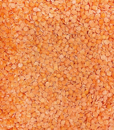 Légumes secs - Lentilles - Lentilles corail de France - Sabarot