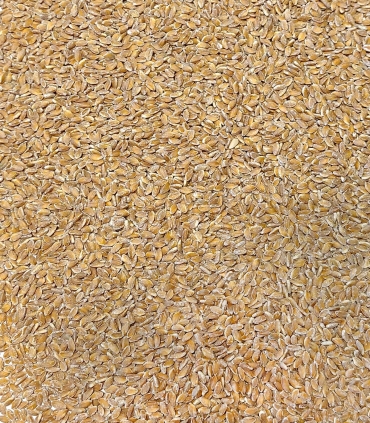 Cereals - Einkorn from Velay - France - Sabarot