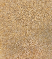 Cereals - Einkorn from Velay - France - Sabarot