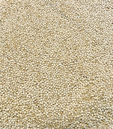 Cereals & seeds - Quinoa - White quinoa from France - Sabarot