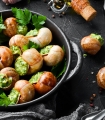 Pack snails & shells - Prepare your homemade snails - Sabarot