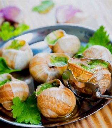 Snail shells No.10 - 120 snail shell recipe - Sabarot