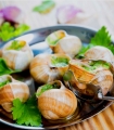 Snail shells No.10 - 120 snail shell recipe - Sabarot