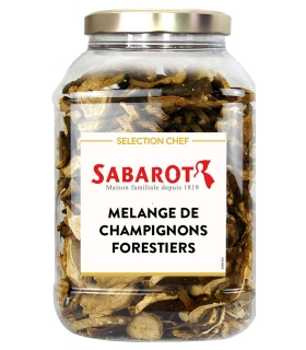 Dried forest mushrooms mix 500g