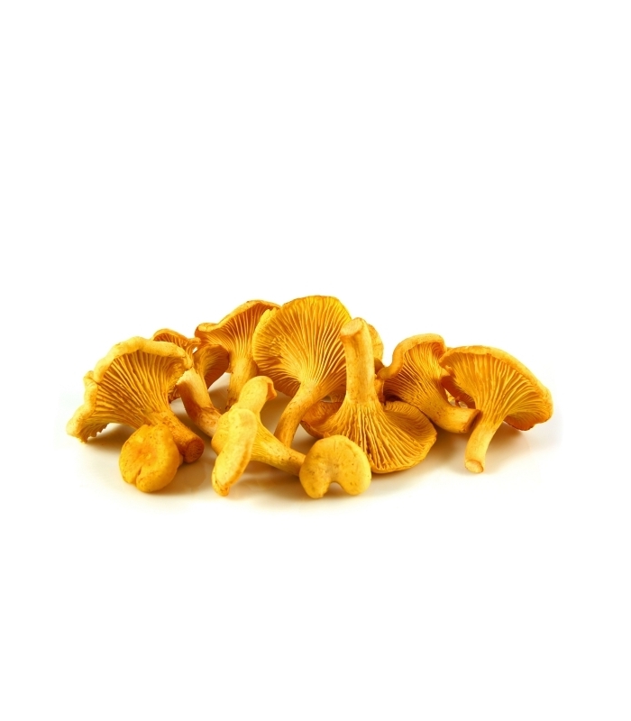 Girolles Premium 455g
