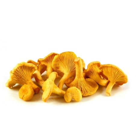 Matière première - Girolles premium - Sabarot
