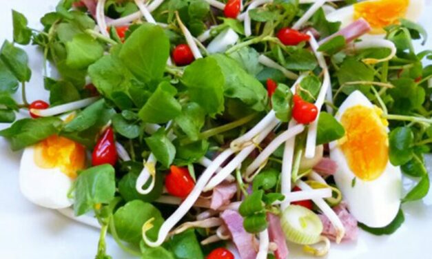 Salade thaï aux gouttes de poivrons rouges