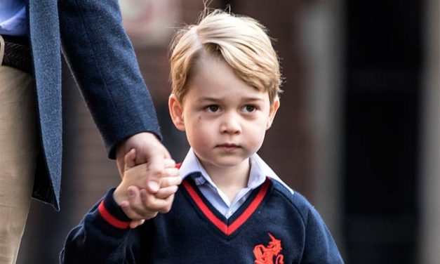 Grâce au Prince George, la lentille verte du Puy devient un produit star en Angleterre !