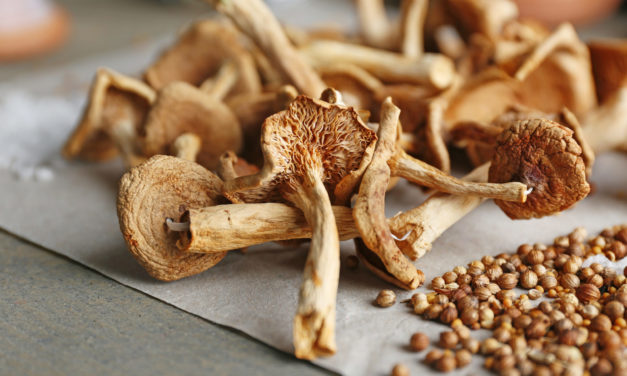 Comment réhydrater vos champignons