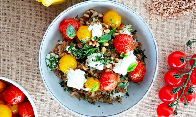 Salade de Farro, tomate cerise et mozzarella