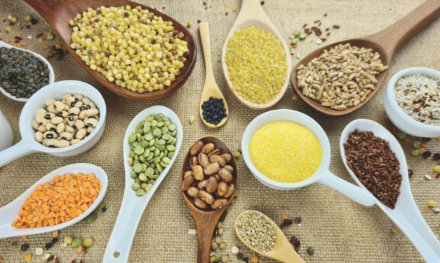 «Proposer des produits sains, naturels et bons pour la santé et la planète !»